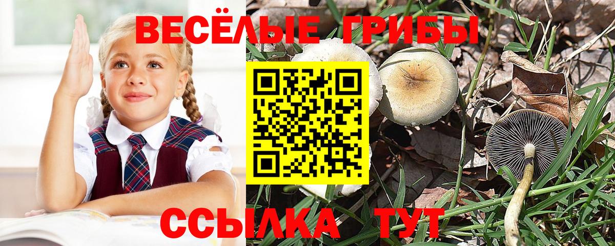 Галлюциногенные грибы мухоморы Нижневартовск