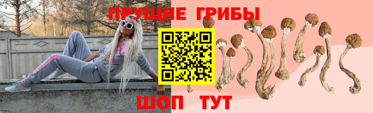 Галлюциногенные грибы Psilocybine cubensis  наркотики  Нижневартовск  Вход с VPN 
